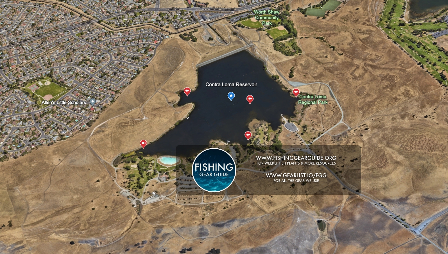 contra loma reservoir fishing